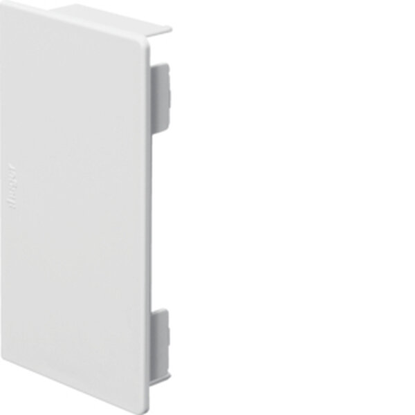 HAGER TEHALIT Endst&uuml;ck LF6011069016 60x110mm verkehrswei&szlig;