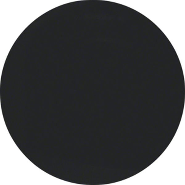 BERKER Wippe 16202045 schwarz gl&auml;nzend