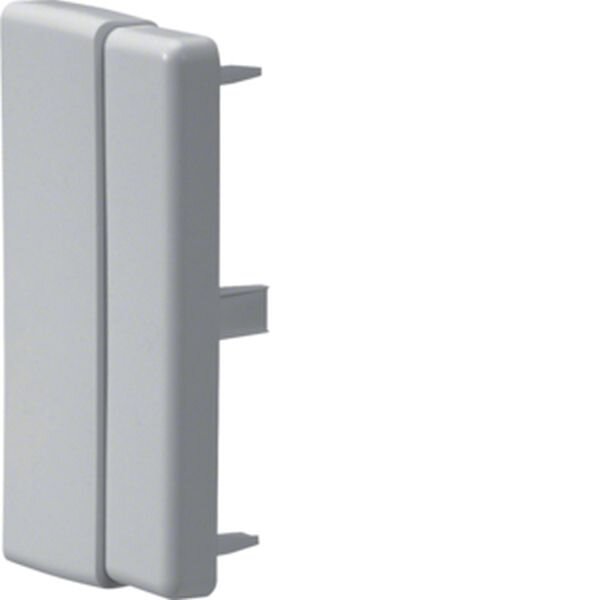 HAGER TEHALIT Endst&uuml;ck LFF6011067035 f. LF/LFH 40/60x110mm lgr