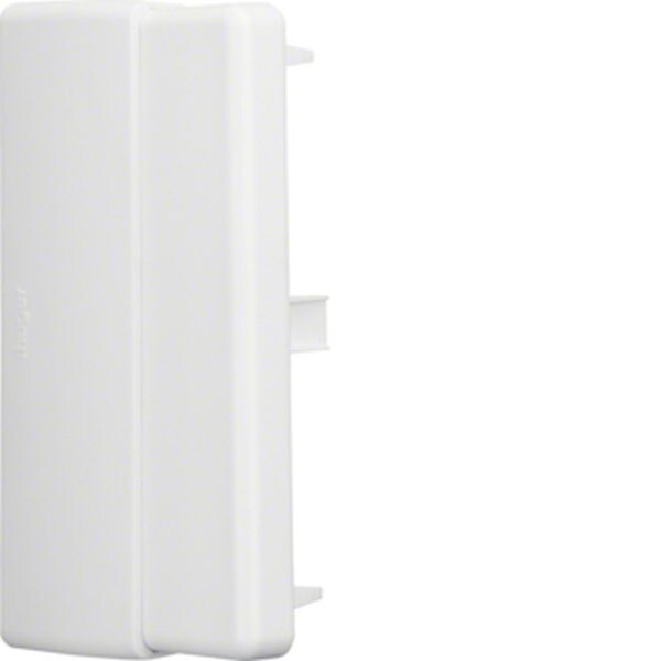 HAGER TEHALIT Endst&uuml;ck LFE6011069016 ASA 60x110mm verkehrswei&szlig;