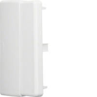 HAGER TEHALIT Endstück LFE6011069016 ASA 60x110mm...
