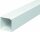 OBO Wand-/Deckenkanal WDK 25025 25x25 lichtgrau