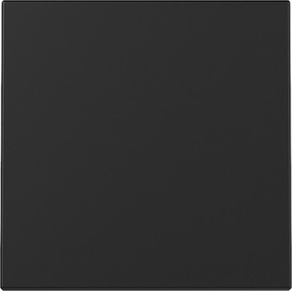 GIRA Wippe 3296005 System 55 Schwarz matt (neue Generation)