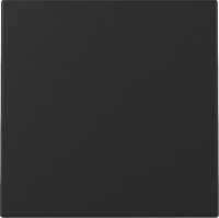 GIRA Wippe 3296005 System 55 Schwarz matt (neue Generation)
