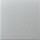 GIRA Wippe 329626 System 55 Alu (neue Generation)