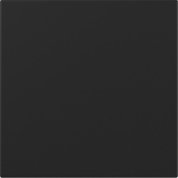 GIRA Wippe 3496005 gerade System 55 Schwarz matt