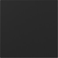 GIRA Wippe 3496005 gerade System 55 Schwarz matt