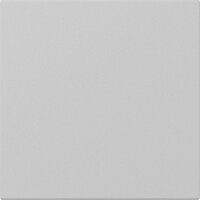 GIRA Wippe 3496015 gerade System 55 Grau matt