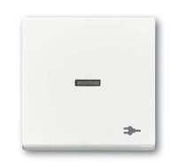BUSCH-JAEGER Wippe 1789 ST-84 transp.Sym.Stecker...