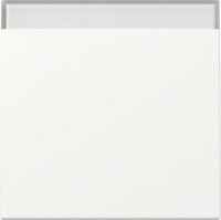 GIRA Wippe 329927 Beschriftungsfeld System 55...