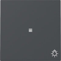GIRA Wippe 367428 Kontrollf.+Symb.Licht System 55 Anthrazit