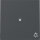 GIRA Wippe 367428 Kontrollf.+Symb.Licht System 55 Anthrazit