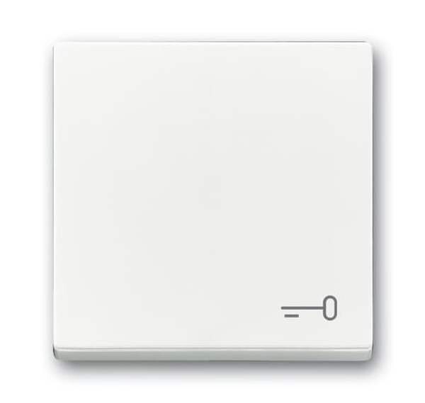 BUSCH-JAEGER Wippe 2520 TR-84 Symbol Schl&uuml;ssel studiowei&szlig;