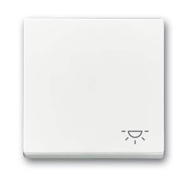 BUSCH-JAEGER Wippe 2520 LI-84 Symbol Licht studiowei&szlig;