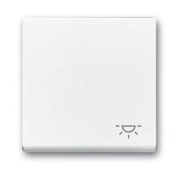 BUSCH-JAEGER Wippe 2520 LI-84 Symbol Licht studioweiß
