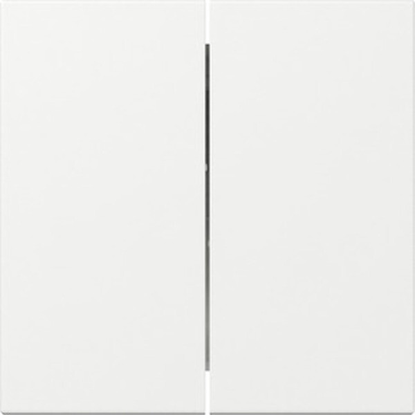 GIRA Wippe 349503 2f gerade System 55 Reinwei&szlig; gl&auml;nzend