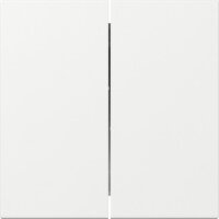 GIRA Wippe 349503 2f gerade System 55 Reinweiß...