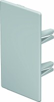 OBO Endstück WDK/HE 60110 60x110mm lichtgrau