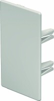 OBO Endstück WDK/HE 60110 60x110mm cremeweiss
