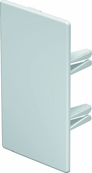 OBO Endst&uuml;ck WDK/HE 60110 60x110mm reinweiss