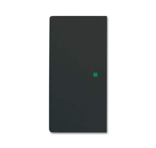 BUSCH-JAEGER Wippe 6230-20-885 2fach schwarz matt
