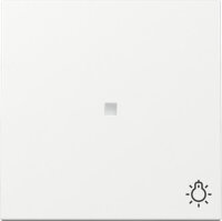 GIRA Wippe 367403 Kontrollf.+Symb.Licht System 55...