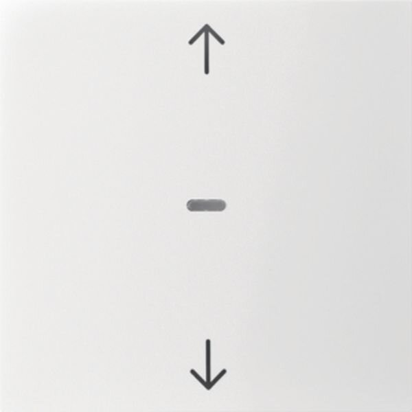 BERKER Abdeckung 80961289 f. Tastm. 1fach S.1/B.x pw