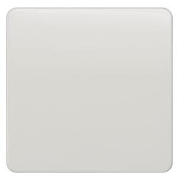 SIEMENS Wippe 5TG7801 neutral titanweiss