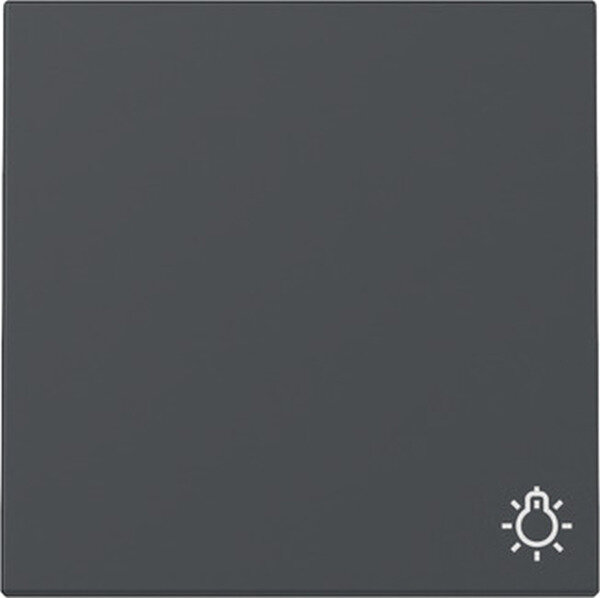 GIRA Wippe 328528 Symb.Licht System 55 Anthrazit