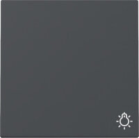 GIRA Wippe 328528 Symb.Licht System 55 Anthrazit
