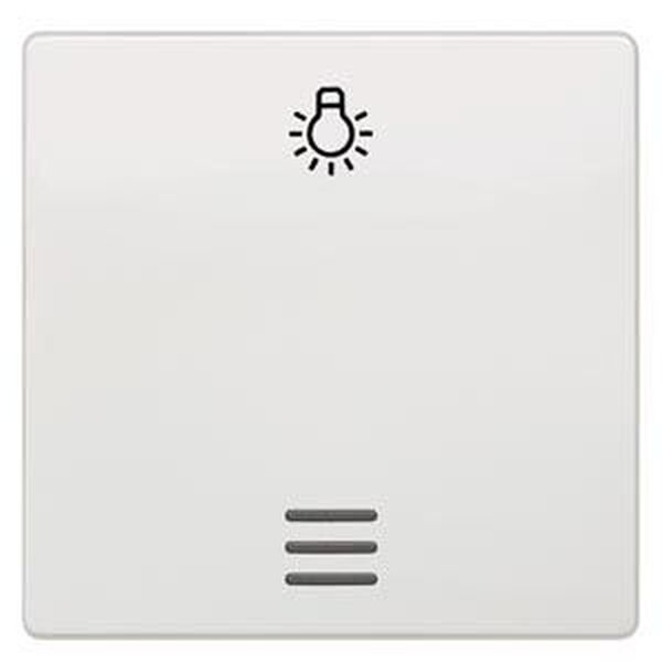 SIEMENS Wippe 5TG6206 mit Symbol titanweiss