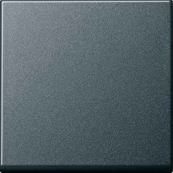 GIRA Wippe 091628 Tasts Wechsel System 55 Anthrazit