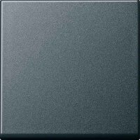 GIRA Wippe 091628 Tasts Wechsel System 55 Anthrazit