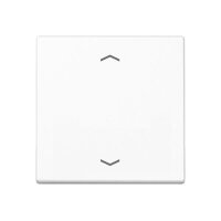 JUNG Wippe A101PBFWW f.-Pfeile