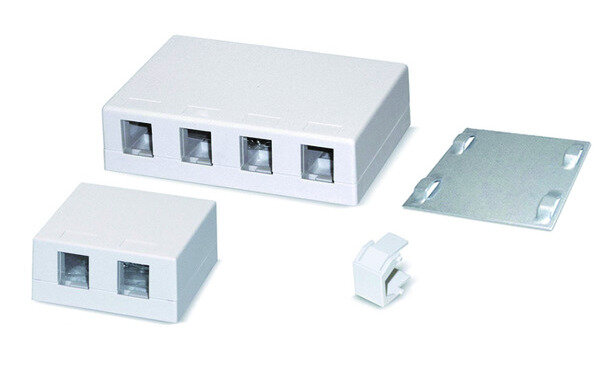 DAETWYLER Anschlussdose leer reinweiss AP 2x Keystone-Modul mit Staubschutz