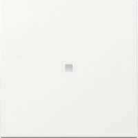 GIRA Wippe 329003 Kontrollfenster System 55...