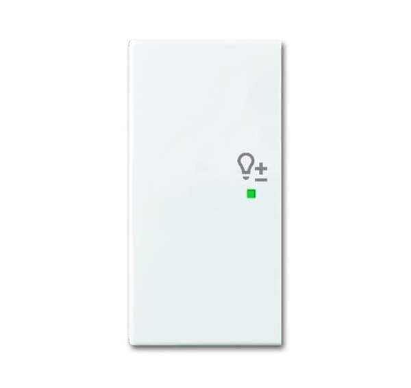 BUSCH-JAEGER Wippe 6234-21-914 2fach Dimmer alpinwei&szlig;