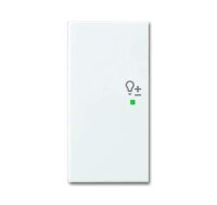 BUSCH-JAEGER Wippe 6234-21-914 2fach Dimmer alpinweiß