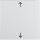 BERKER Wippe 16201919 Symbol Pfeil polarweiss matt