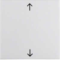 BERKER Wippe 16208919 Symbol Pfeil polarweiss glänz.