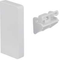 HAGER TEHALIT Endstück SL20055619016 SL 20x55mm...