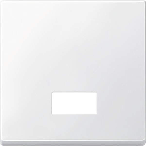 MERTEN Wippe 433819 Symbolfenster polarwei&szlig; M