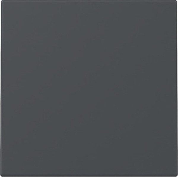 GIRA Wippe 329628 System 55 Anthrazit (neue Generation)