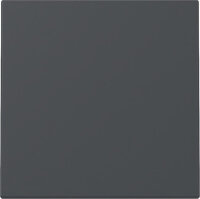GIRA Wippe 329628 System 55 Anthrazit (neue Generation)