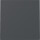 GIRA Wippe 329628 System 55 Anthrazit (neue Generation)