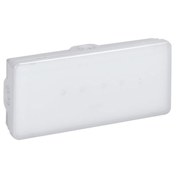 LEGRAND Endkappe A00049 f&uuml;r 1P Kammschiene