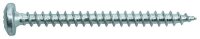 PROT Panheadschraube VE50 PPHS 6,0x80 VG PZD2 verzinkt