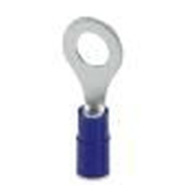 PHOENIX CONTACT Ringkabelschuh C-RCI 2,5/M6