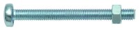PROT Gewindeschraube VE10 PSGSK 4x10 inkl. Mutter