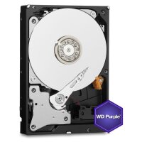 BURG Festplatte HDD-1000HV für DVR/NVR 1TB SATA24/7